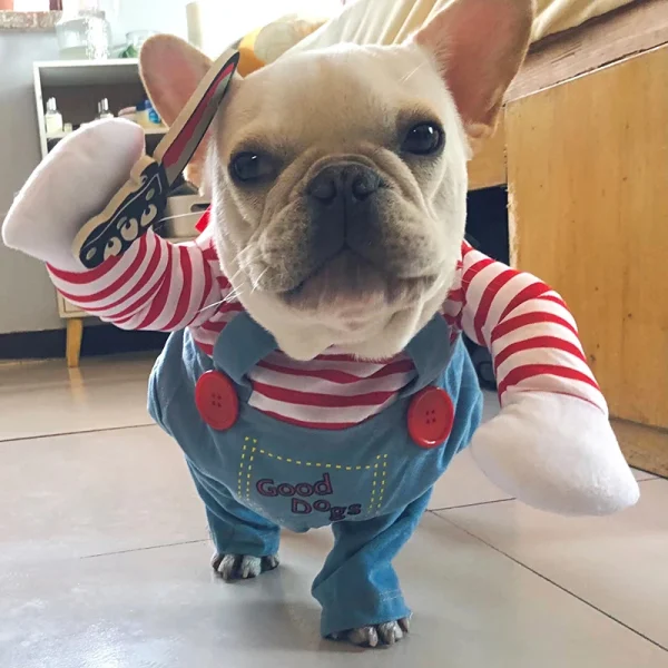 Funny Halloween Dog Costume